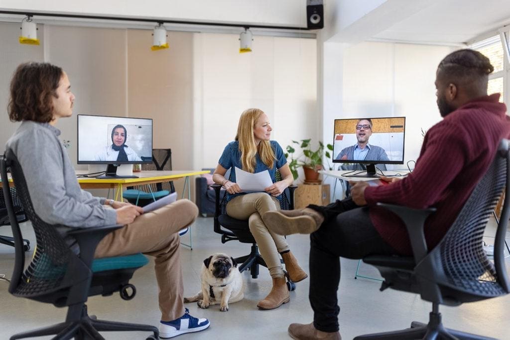Tre personer och en mops sitter på kontorsstolar i ett rum. Mellan dem syns två personer som deltar digitalt och finns på varsin bildskärm.